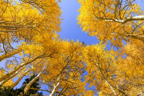 325 White Pine Canyon Road Park City UT 84060