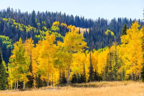 325 White Pine Canyon Road Park City UT 84060