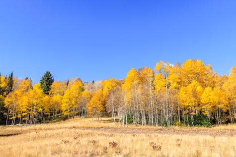 325 White Pine Canyon Road Park City UT 84060
