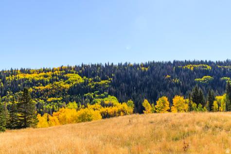 325 White Pine Canyon Road Park City UT 84060
