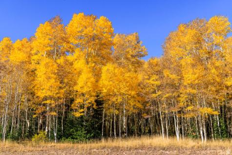 325 White Pine Canyon Road Park City UT 84060