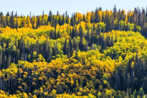 325 White Pine Canyon Road Park City UT 84060