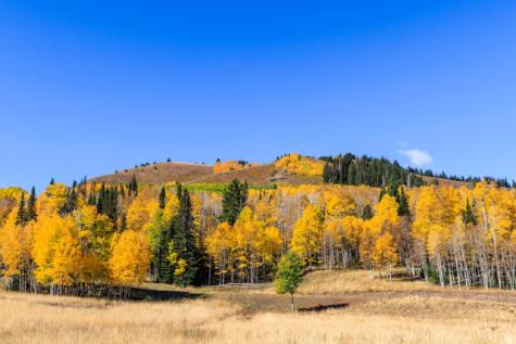 325 White Pine Canyon Road Park City UT 84060