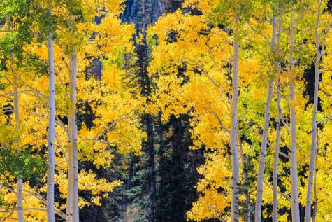 325 White Pine Canyon Road Park City UT 84060