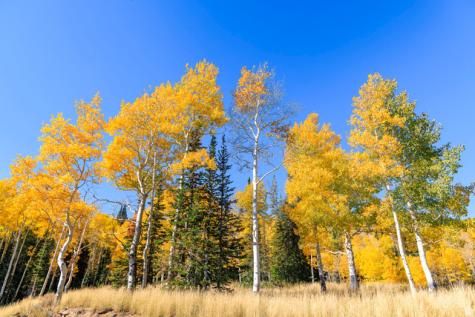 325 White Pine Canyon Road Park City UT 84060