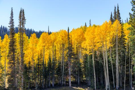 325 White Pine Canyon Road Park City UT 84060
