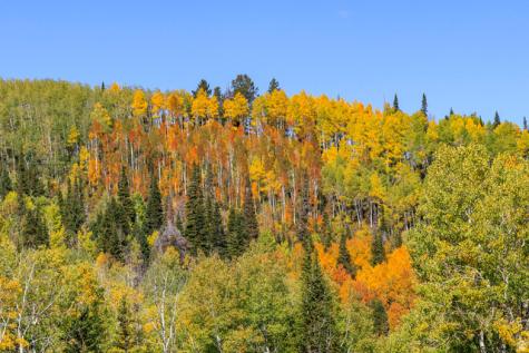 325 White Pine Canyon Road Park City UT 84060