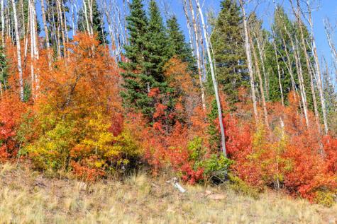 325 White Pine Canyon Road Park City UT 84060