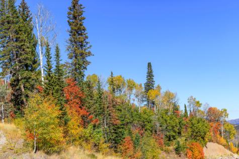 325 White Pine Canyon Road Park City UT 84060