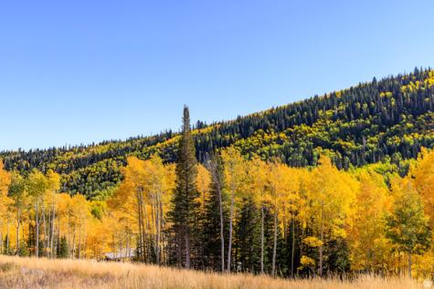 325 White Pine Canyon Road Park City UT 84060
