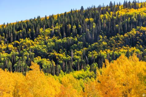 325 White Pine Canyon Road Park City UT 84060