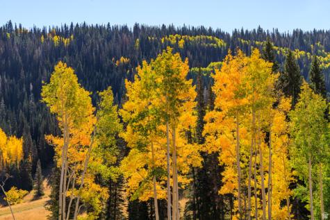 325 White Pine Canyon Road Park City UT 84060