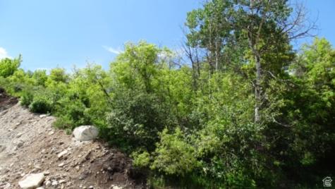 1775 S Beaver Bench Road Heber City UT 84032
