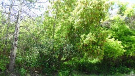 1775 S Beaver Bench Road Heber City UT 84032