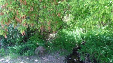 1775 S Beaver Bench Road Heber City UT 84032