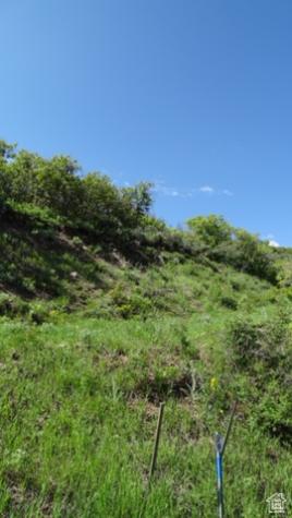 1775 S Beaver Bench Road Heber City UT 84032