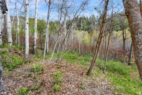 7188 E Parker Road Salt Lake City UT 84109