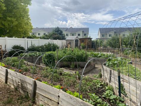 339 E 1900 N North Ogden UT 84414