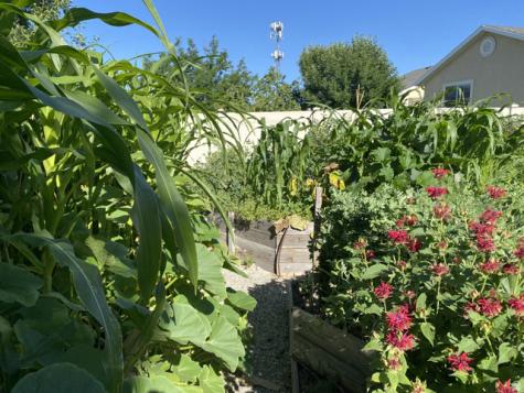 339 E 1900 N North Ogden UT 84414