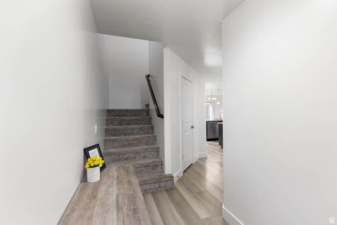 3782 E Nova Lane St. George UT 84790