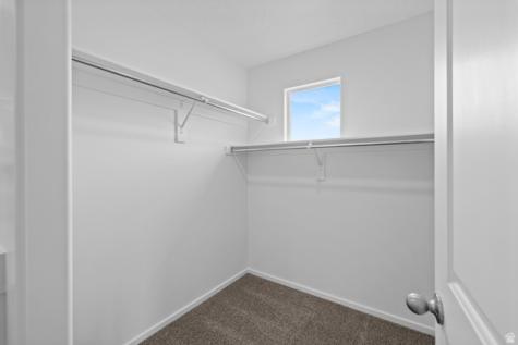 2788 E Rushpink Lane Washington UT 84780