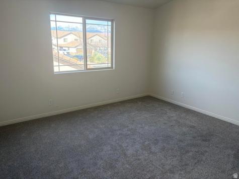 316 S 2450 E St. George UT 84790