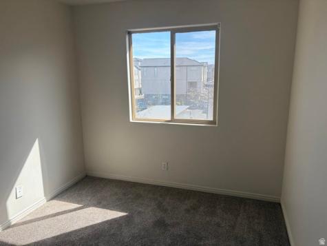 316 S 2450 E St. George UT 84790