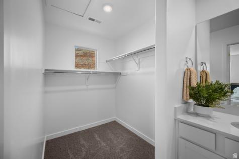 2174 Wolverine Way Washington UT 84780