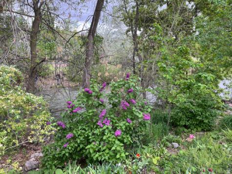 1672 S Canyonwoods E Ogden UT 84404