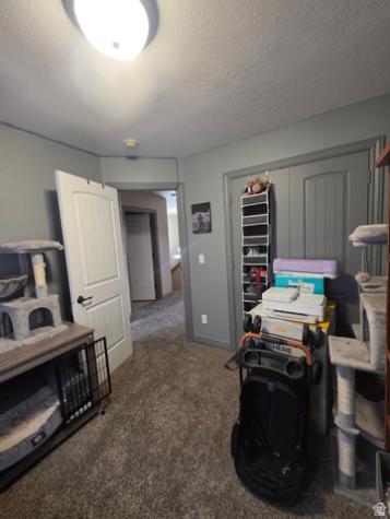 494 N 190 E Roosevelt UT 84066