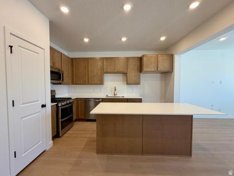 2958 N Lone Pine Street Eagle Mountain UT 84005