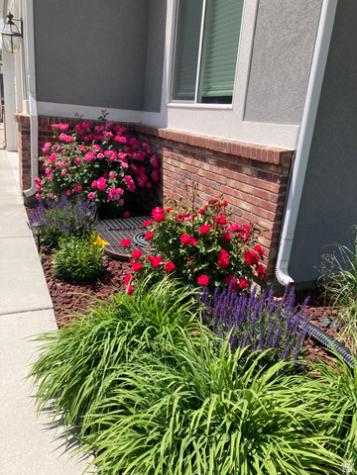 637 E 950 S Brigham City UT 84302