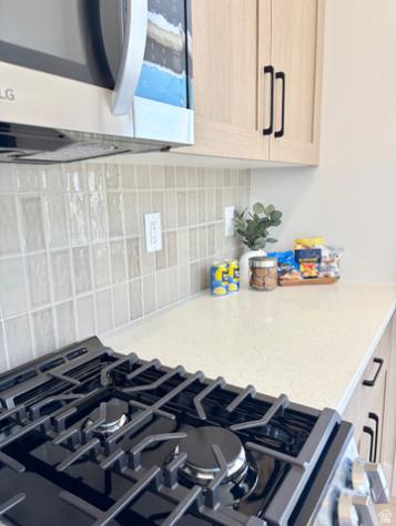 519 W Olive Lane St. George UT 84790