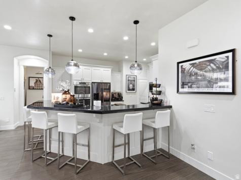 1154 E Sunset Dunes Way Draper UT 84020