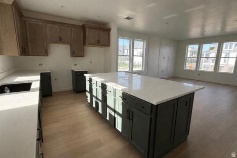 5069 W Rambutan Way S South Jordan UT 84009