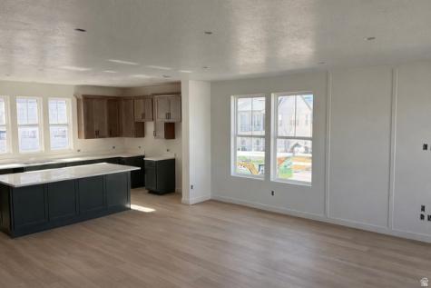 5069 W Rambutan Way S South Jordan UT 84009