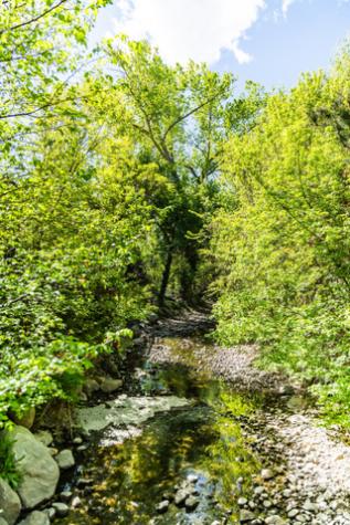 507 E Tonalea Drive S Murray UT 84107