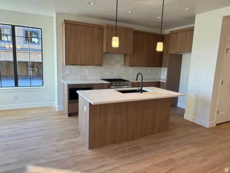 2998 W Windscape Drive Lehi UT 84048