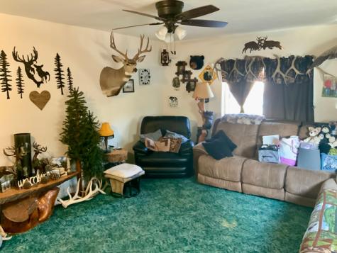 154 S 300 E Monroe UT 84754