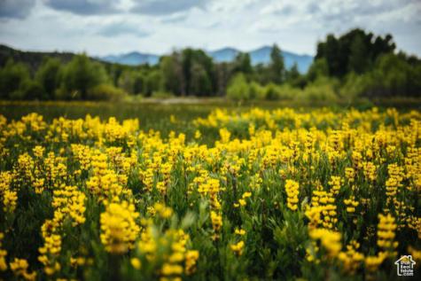 7398 E Moon Light Drive Heber City UT 84032