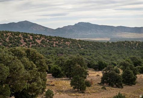 23886 N 6450 E Cedar City UT 84720