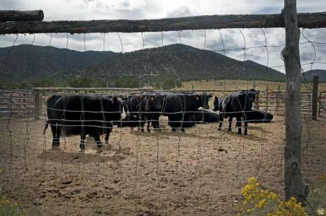 23886 N 6450 E Cedar City UT 84720