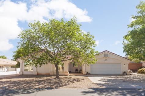2989 S Buttonbush Circle St. George UT 84790