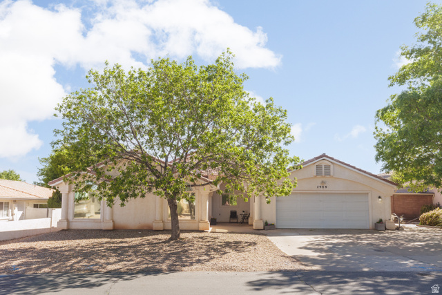 2989 S Buttonbush Circle St. George UT 84790