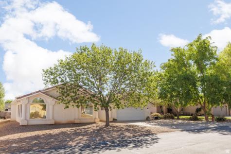 2989 S Buttonbush Circle St. George UT 84790