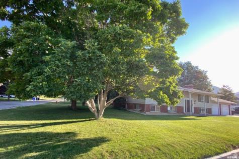 584 E 2300 N North Ogden UT 84414