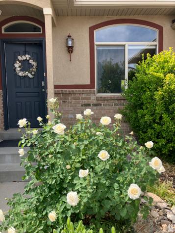 5119 Pine Laurel Lane W West Jordan UT 84081