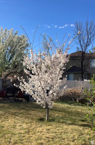 5119 Pine Laurel Lane W West Jordan UT 84081