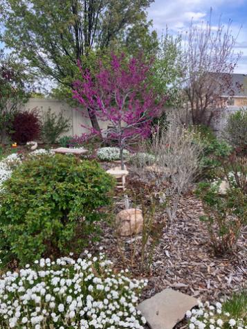 5119 Pine Laurel Lane W West Jordan UT 84081