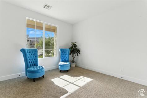 3142 S Mesa Verde Circle Hurricane UT 84737
